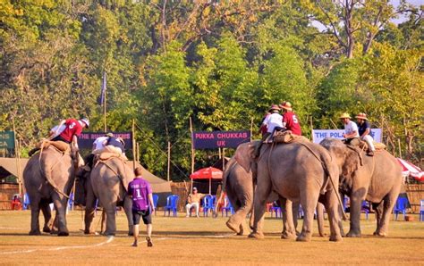 Elephant Polo - Visits Nepal