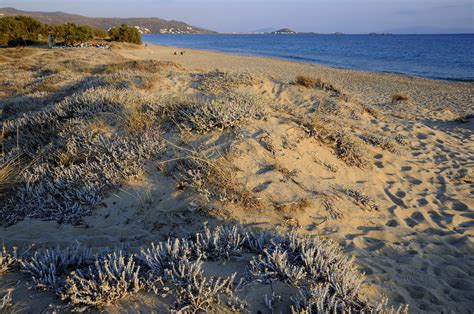 Plaka Beach (3) | Naxos | Pictures | Greece in Global-Geography