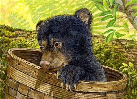 Bear Cub Painting at PaintingValley.com | Explore collection of Bear Cub Painting