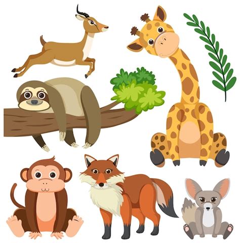 Free Vector | Wild Animals Cartoon Collection