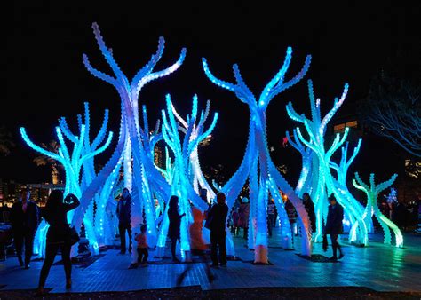 Interactive Mangrove Forest Installation Lights Up Sydney Harbor