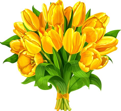 Tulip Flower bouquet Yellow - Flower bouquet Tulip Clip art | Yellow tulips, Digital flowers, Tulips