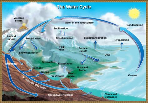 Biogeochemical Cycles | Biology for Majors II