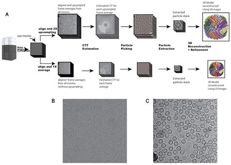 Cryo-ZSSR: multiple-image super-resolution based on deep internal learning – Bartesaghi Lab