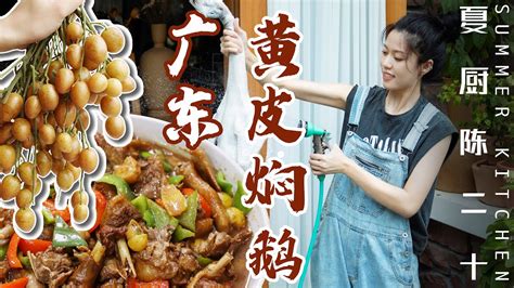 Chinese Wampee Recipes | 黃皮燜鵝/黃皮氣泡水，鹹甜碰撞 百吃不膩！| Summer Kitchen•夏廚陳二十【330】 - YouTube