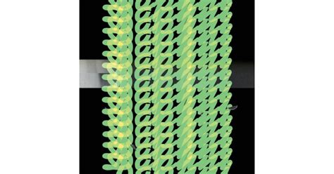 Jiaolong, Daphni – 2 x LP – Music Mania Records – Ghent