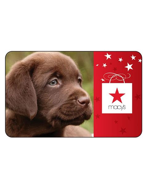 Macy's Everyday Gift Card with Greeting Card & Reviews - Gift Cards ...