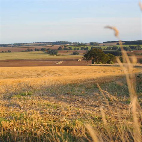 Red Hill Nature Reserve - Visit Lincolnshire