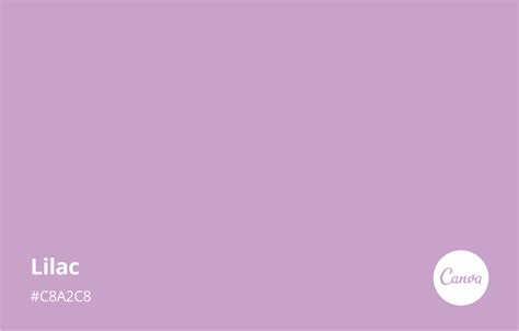 Lilac Meaning, Combinations and Hex Code - Canva Colors | Lilac, Color ...