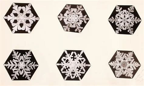 A few new snowflakes on Vermont slopes, and Snowflake Bentley snowflakes online - SkiMaven