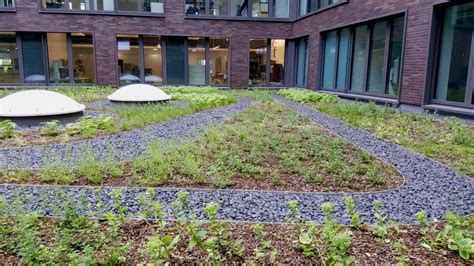 The blue green roof - helping cities cope with stormwater