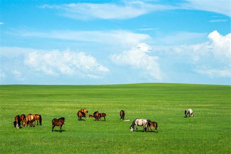 Inner Mongolia Grasslands: Top 10 Prairies in Inner Mongolia