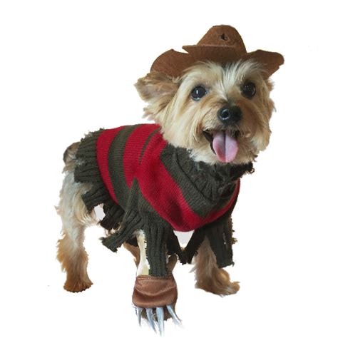 Freddy Krueger Dog Costume | BaxterBoo