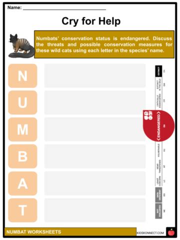 Numbat Habitat, Conservation, Diet, Facts, and Worksheets for Kids