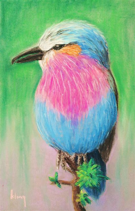 soft pastels beginners | soft pastel artwork by a 9 year old student ...