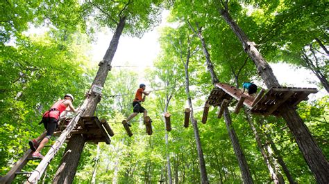 Treetop Trekking at Horseshoe Resort, Barrie Ontario