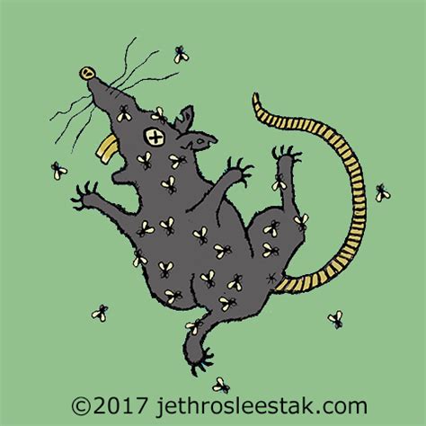 Dead Rat Animated GIF by Jethro Sleestak | Animated gif, Animated ...