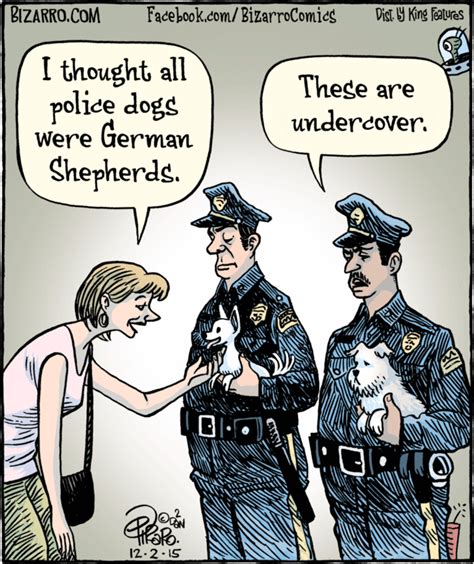 Bizarro | Cops humor, Police humor, Bizarro comic