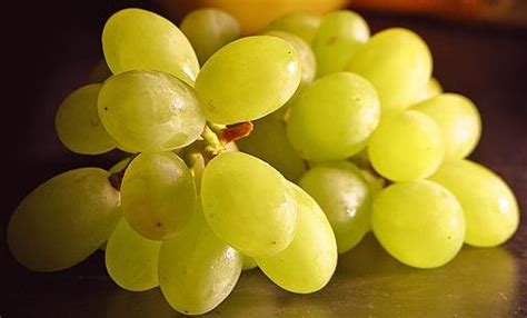 Grapes - Nutritional Facts, Calories, Health Benefits & Pictures