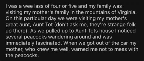 Redditor Shares The Hilarious Story Of An Incident With An Angry ...