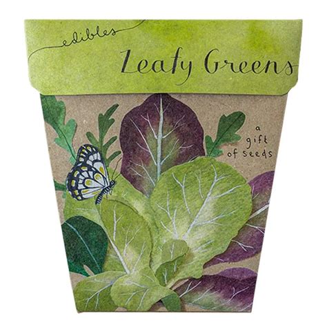 Leafy Greens Seeds for Gifts - Acorn and Oak Apothecary