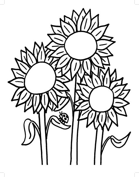Sunflower Coloring Page at GetDrawings | Free download