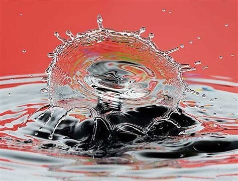 Water Drop Art - Gallery | eBaum's World