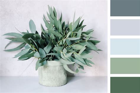 Top 10 soft green color palette ideas and inspiration