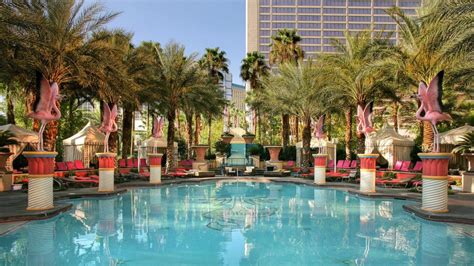 Flamingo Pools - Las Vegas