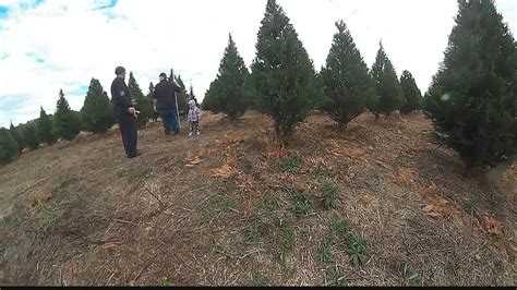 Byron Christmas tree farm shares tips on keeping your live tree fresh | 13wmaz.com