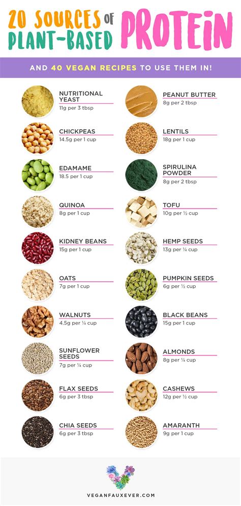 25 Best Vegan Protein Sources for Plant-Based Diets - Guide to Vegan | Vegan protein sources ...