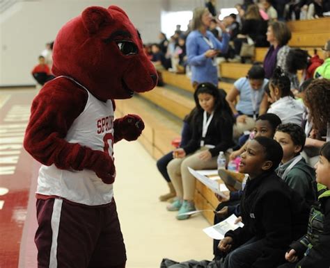 Springfield College ‘Spirit the Lion’ mascot hit by dining hall ...