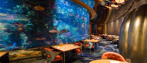 Underwater restaurants in Dubai: Al Mahara, Ossiano & More - MyBayut