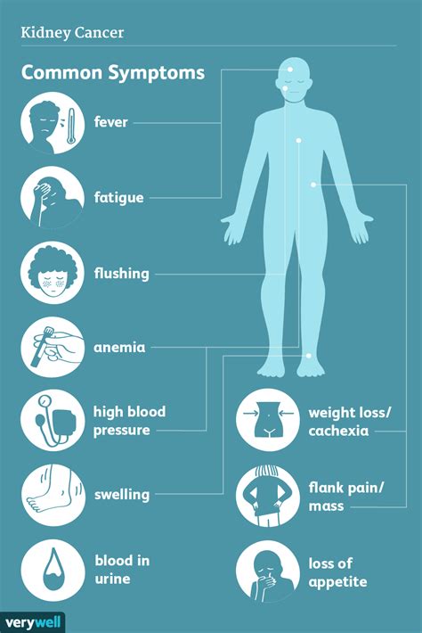 Kidney Cancer: Signs, Symptoms, and Complications