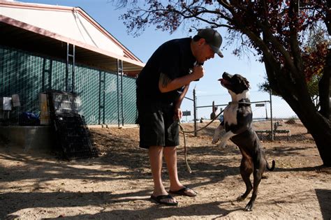 Santa Clara County plans modern no-kill animal shelter