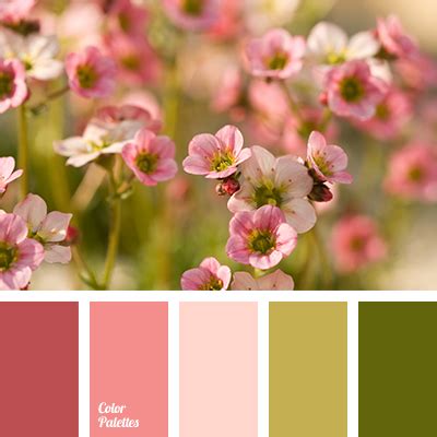 light pink shades | Color Palette Ideas