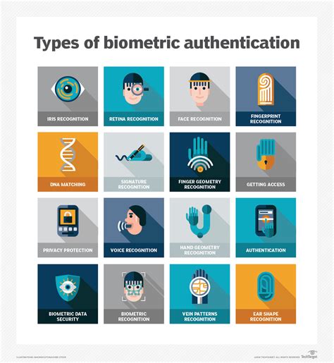 What Data Types Are Biometric Data Stored In - Masters Nountylegrel