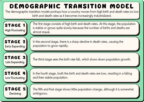 All 5 Demographic Transition Model Stages, Explained (2024)