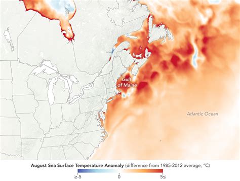 Watery heatwave cooks the Gulf of Maine – Climate Change: Vital Signs of the Planet