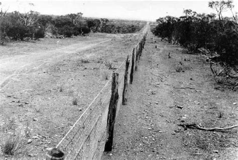 RABBIT PROOF FENCE | Western Australia | www.wanowandthen.com