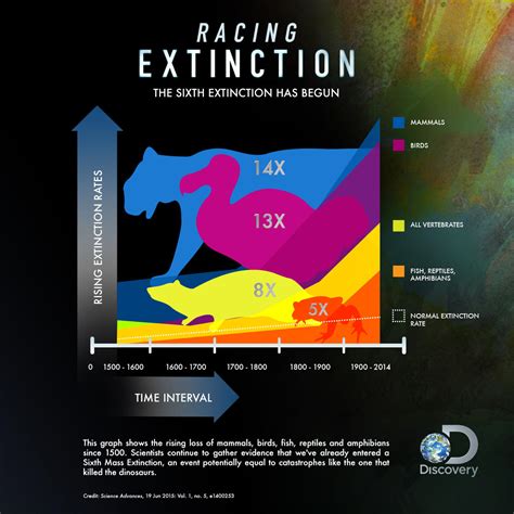 Facts About Extinction Of Species