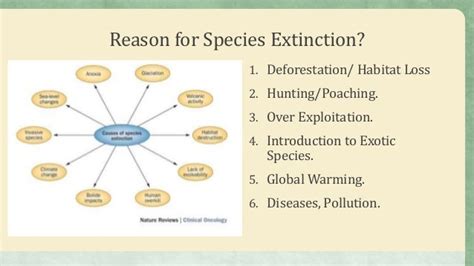 Species Extinction- Reasons and Effects?