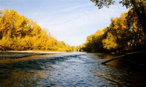 Boise River Idaho Fly Fishing, Camping, Boating - AllTrips