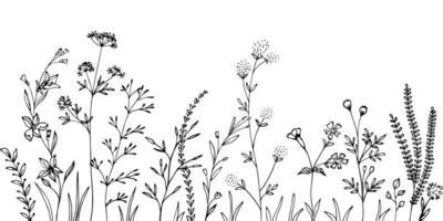Flower Line Drawing Vector Art, Icons, and Graphics for Free Download