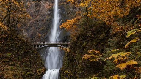 Oregon with Kids-Trekaroo Family Travel