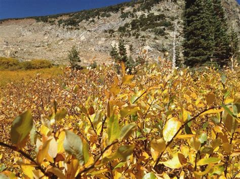 BEST places to see fall colors in Colorado – Little Rad Adventure