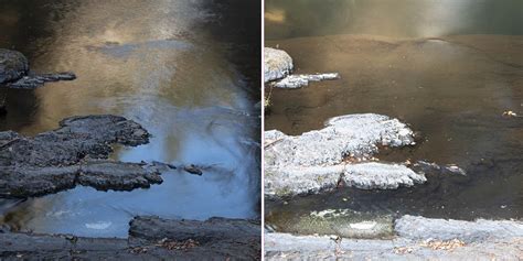 Why Use a Polarizing Filter? Before and After Polarizers Comparison