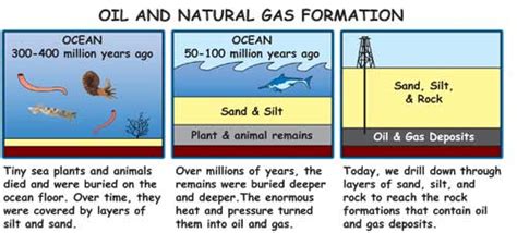 Formation of coal, oil and gas ~ Learning Geology