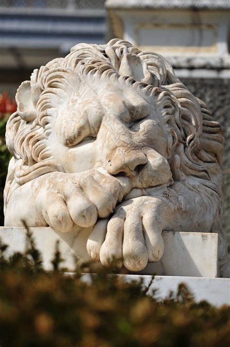 Sleeping Lion statue at Chatsworth House, Derbyshire, England ...