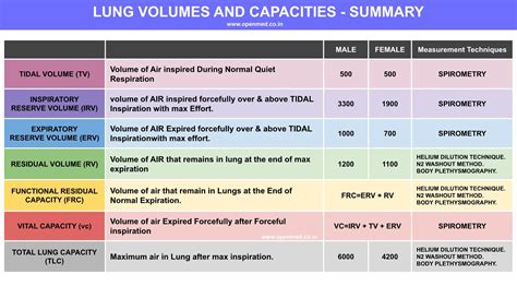 LUNG VOLUMES AND CAPACITIES - SUMMARY